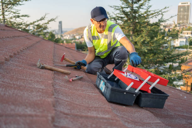 Best Insulated Siding Installation  in Thayer, MO